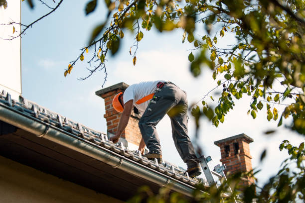 Best New Roof Installation  in Rden City, GA