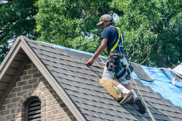 Best Roof Maintenance Services  in Rden City, GA